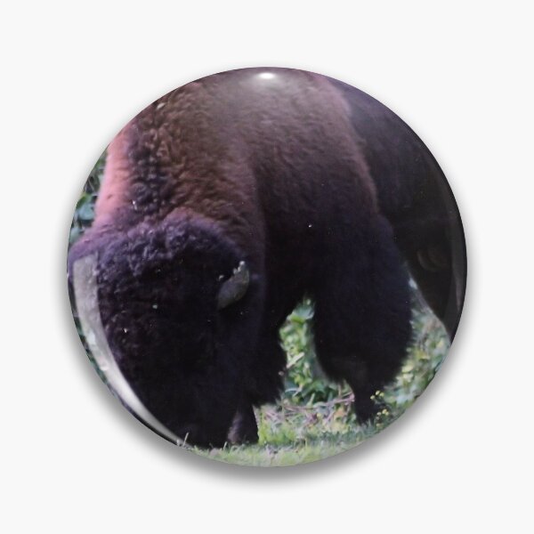 Item preview, BISON GRAZING designed and sold by BOLLA67.