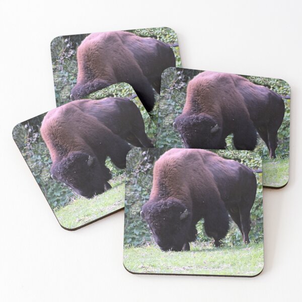 Item preview, BISON GRAZING designed and sold by BOLLA67.