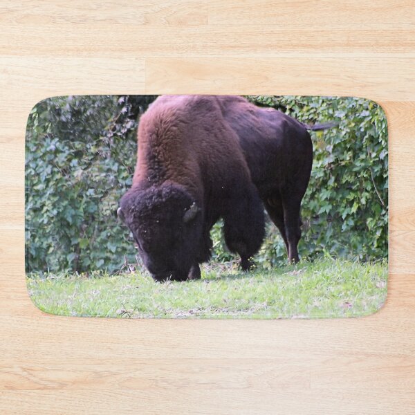 Item preview, BISON GRAZING designed and sold by BOLLA67.