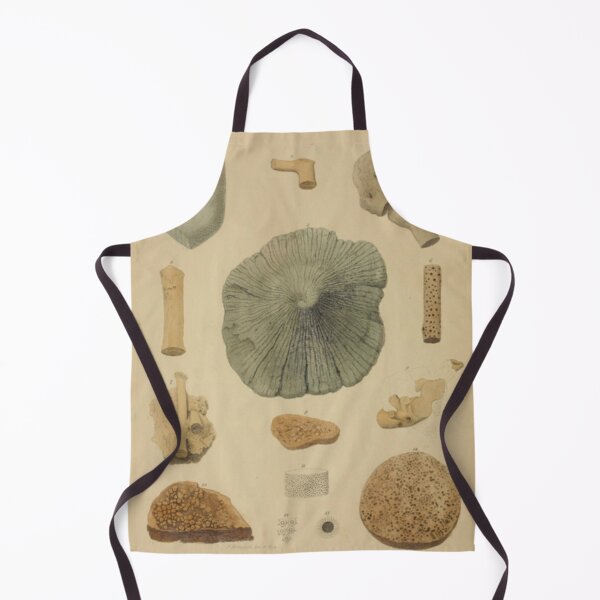 Item preview, Coral Fossils designed and sold by BlueSpecsStudio.