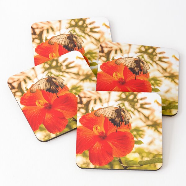 Item preview, Exotic butterfly and red flower, artistic designed and sold by Stéphane  Thirion.