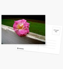 Exquisite Postcards
