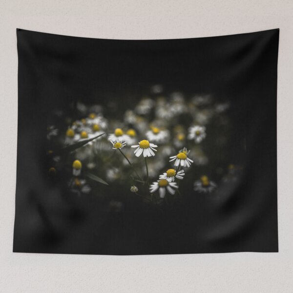 Item preview, Daisies and black background (photo landscape) designed and sold by Stéphane  Thirion.
