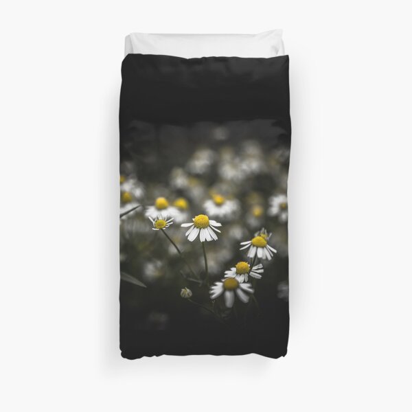 Daisies and black background (photo landscape) Duvet Cover