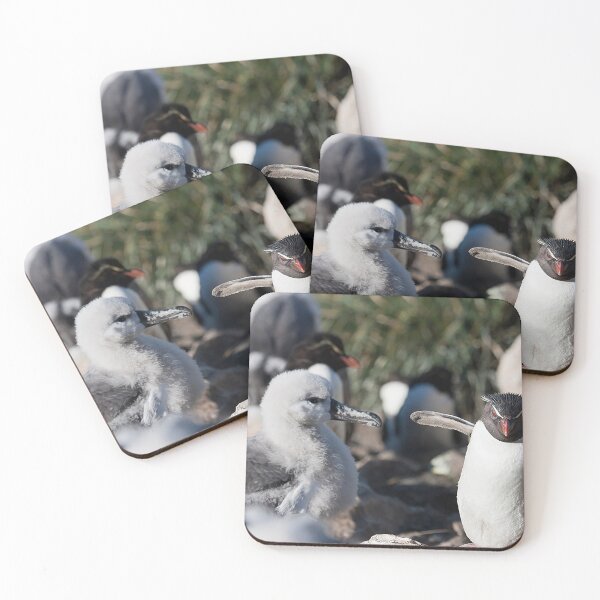 Item preview, Wildlife Delight designed and sold by Marylou Badeaux.