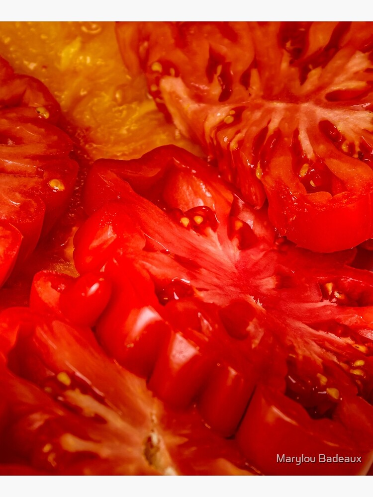 Red Perfection by MarylouBadeaux