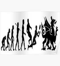 Welsh evolution Poster