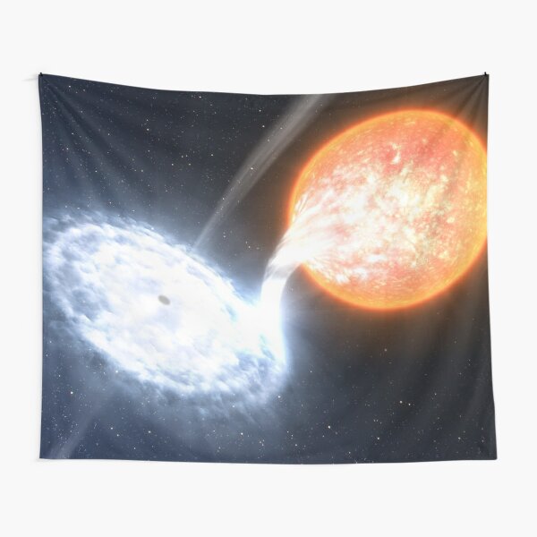Artist’s Impression of a Black Hole Tapestry