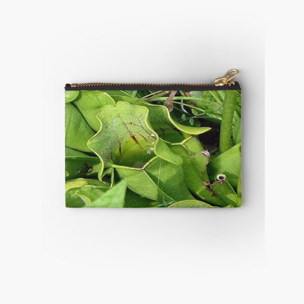 Item preview, Pitcher Plants of Acadia designed and sold by Dubage603.