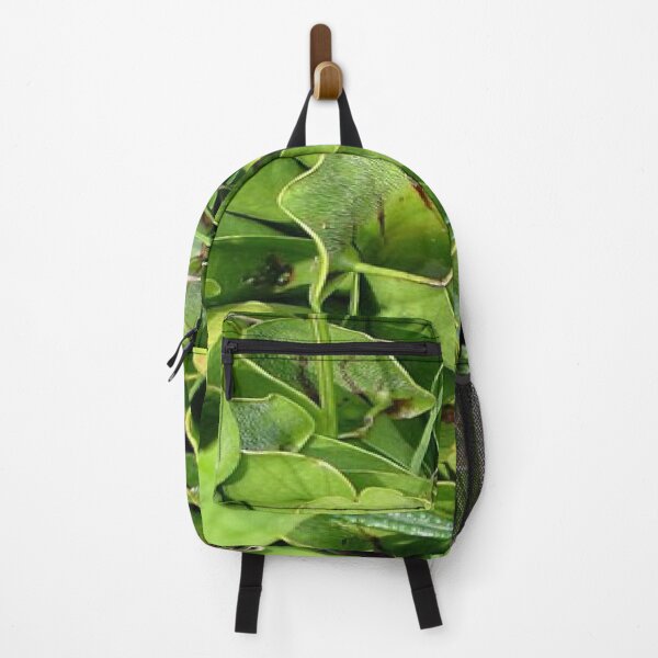 Item preview, Pitcher Plants of Acadia designed and sold by Dubage603.