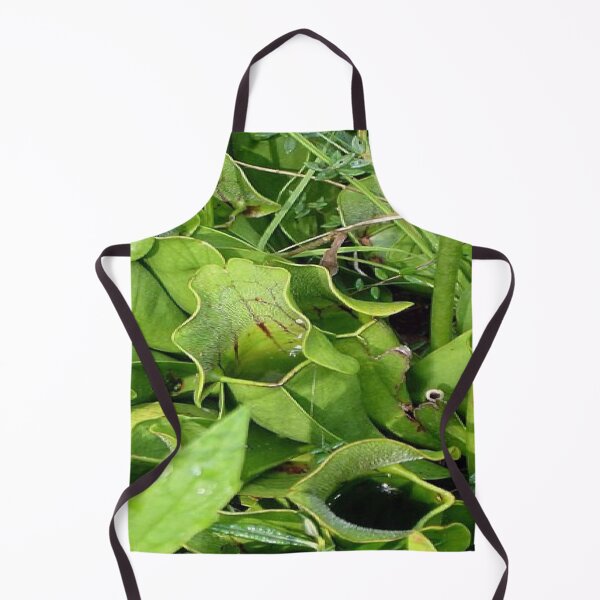 Item preview, Pitcher Plants of Acadia designed and sold by Dubage603.