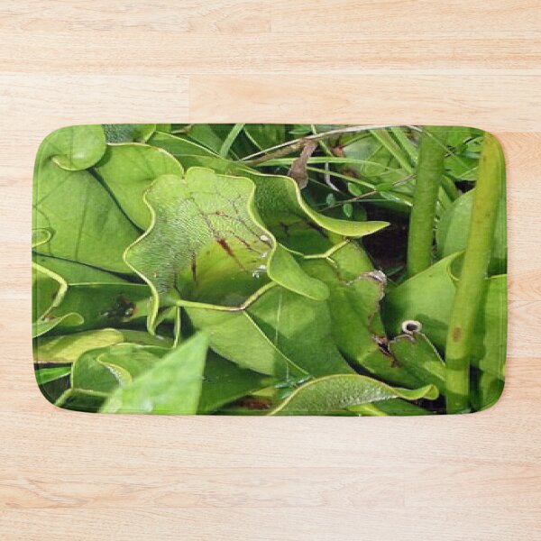 Item preview, Pitcher Plants of Acadia designed and sold by Dubage603.