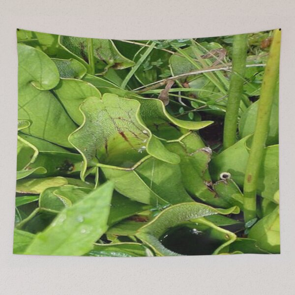 Item preview, Pitcher Plants of Acadia designed and sold by Dubage603.