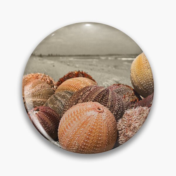 Item preview, Sepia Urchin designed and sold by Darryl Fowler.