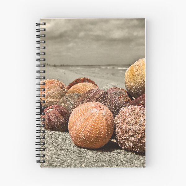 Item preview, Erizo Sepia designed and sold by Darryl Fowler.