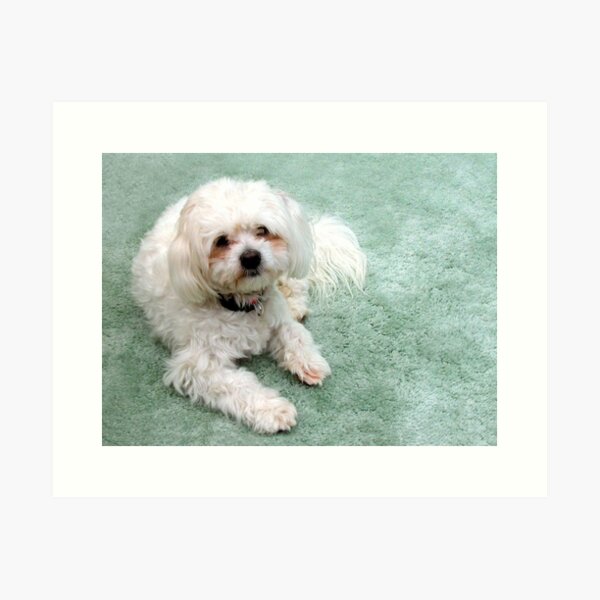 Muffy Art Print