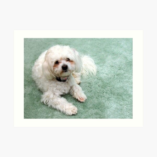 Muffy Art Print