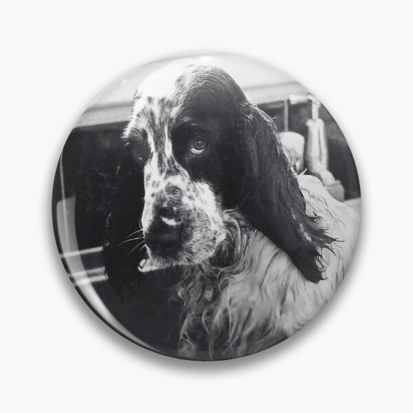 Item preview, My Gorgeous Champ! designed and sold by Roz McQuillan Fine Art & Photography.