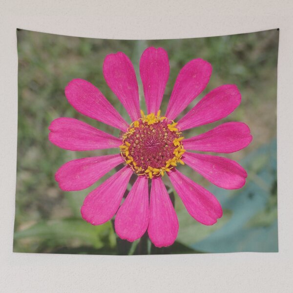 Item preview, Pink Sun Flower designed and sold by cynarts.