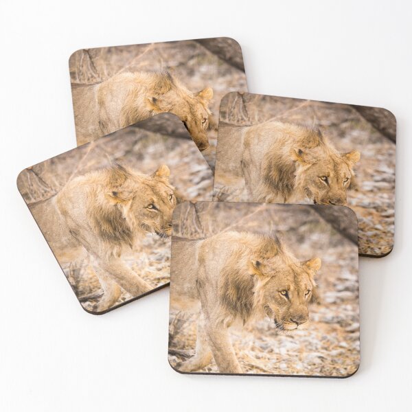 Item preview, Lion #1 designed and sold by Images by Chris de Blank.