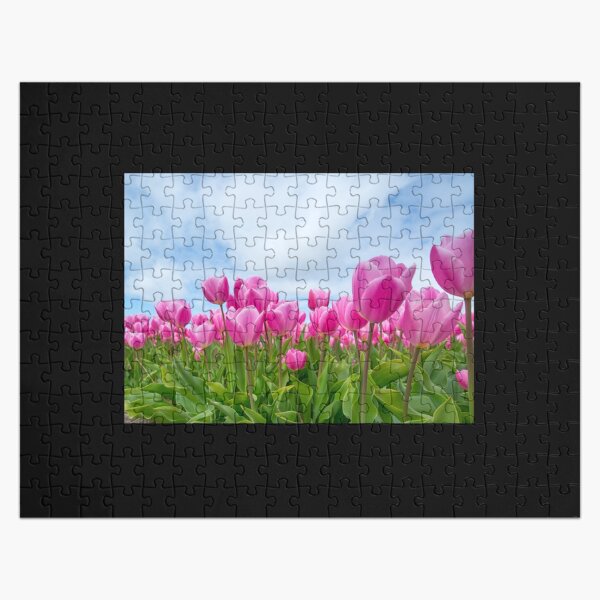 Artikel-Vorschau von Rosa Tulpen-Kollektion, designt und verkauft von Jeanettcha.