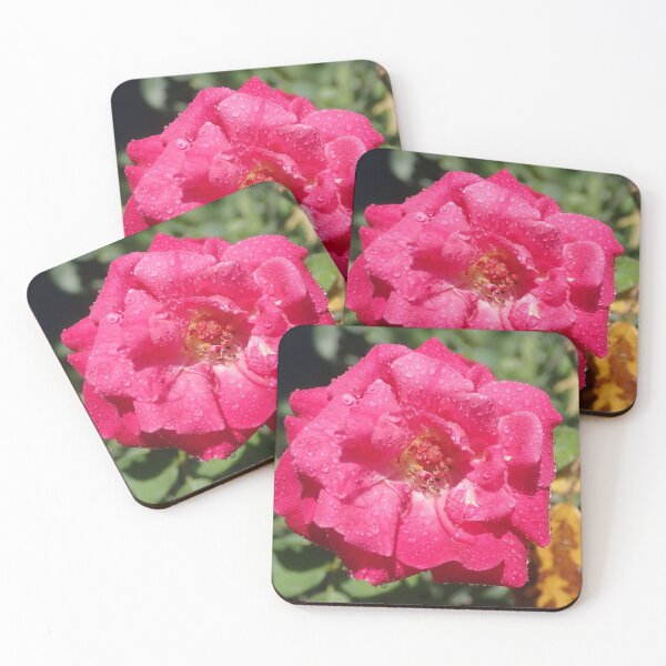 Item preview, Pink Rose with Dew Drops designed and sold by cynarts.