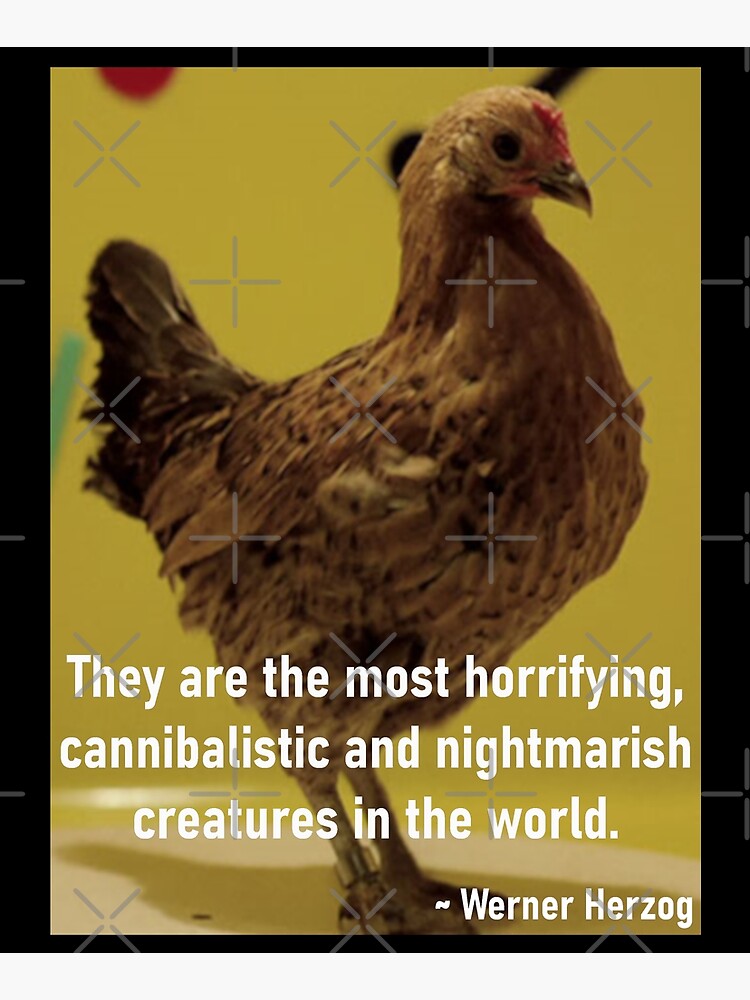 Herzog's Dancing Chicken by asimplefool321