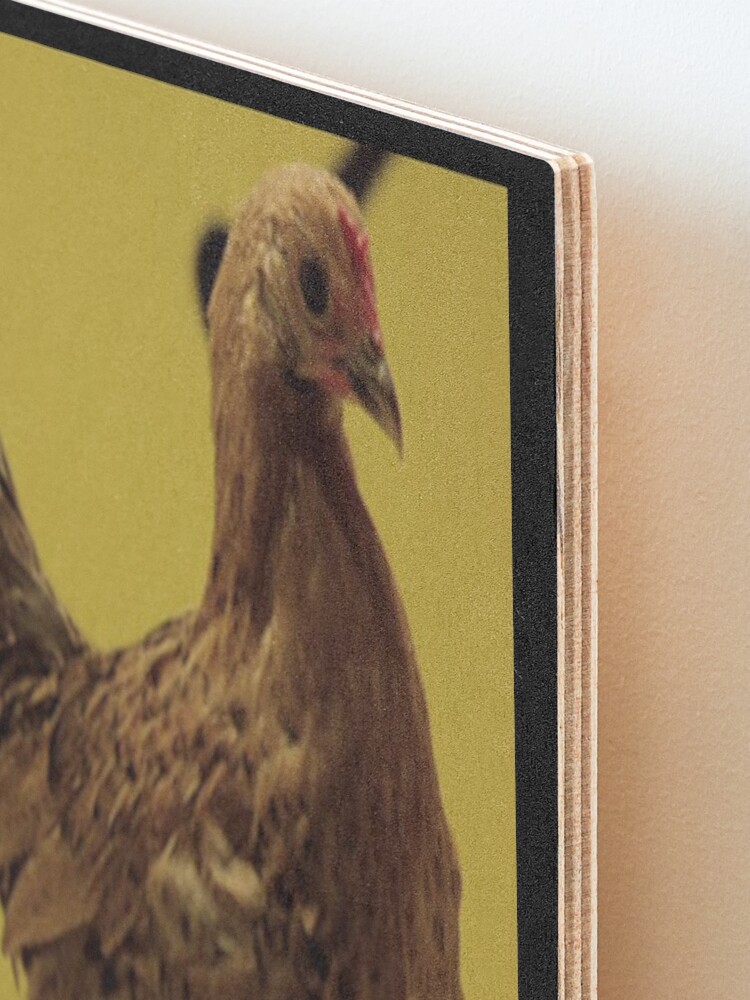 Alternate view of Herzog's Dancing Chicken Mounted Print