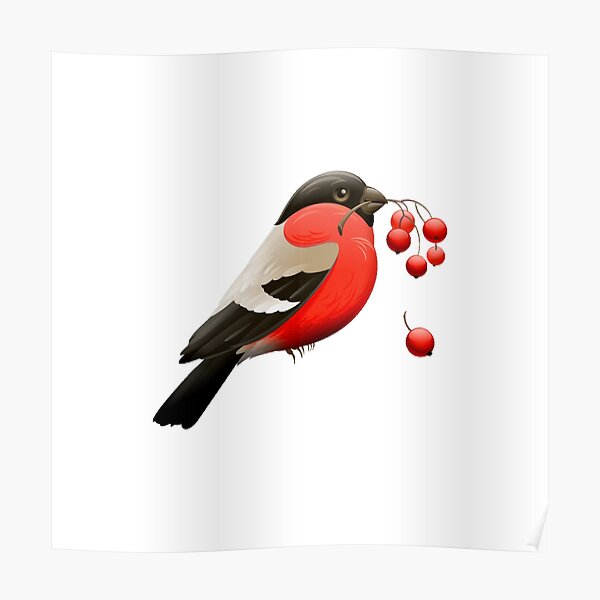 Bird with red berries  Poster