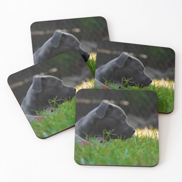Item preview, Puppy in grass designed and sold by Anthony Cook.