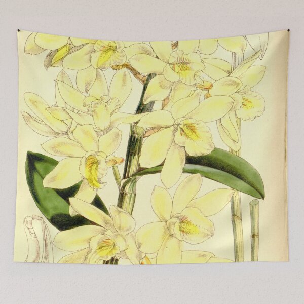Item preview, Dendrobium luteolum designed and sold by EsotericBotanic.
