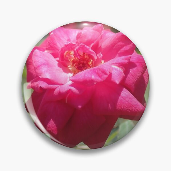 Item preview, Full Bloom Pink Rose designed and sold by cynarts.