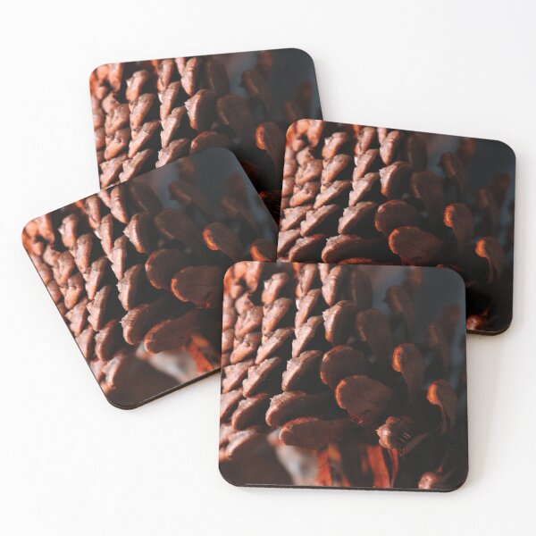 Item preview, Pine Cone, study no.2 designed and sold by Geoff Treagus.