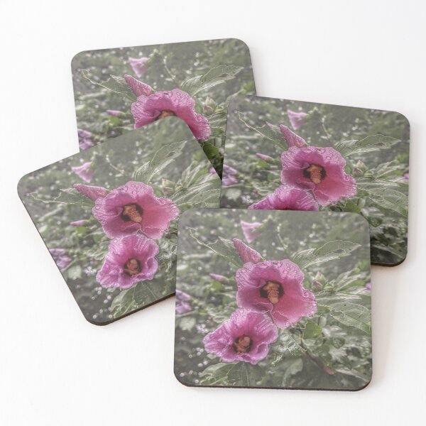 Item preview, Rose of Sharon I designed and sold by giftoftradition.