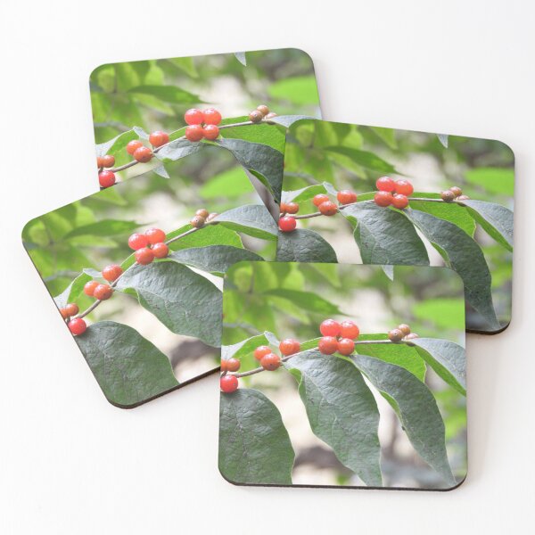 Item preview, Berry Branch Photo designed and sold by Michelle Elizondo.