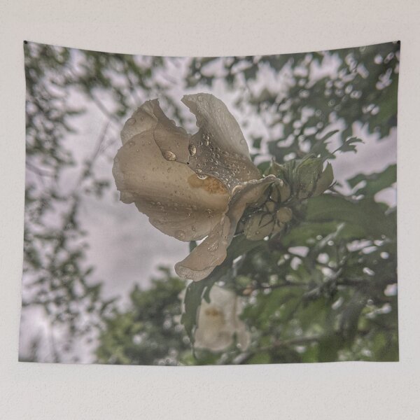 Item preview, Rose of Sharon III designed and sold by giftoftradition.