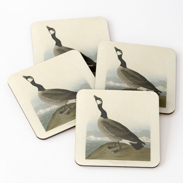 Item preview, 277 Hutchins's Barnacle Goose designed and sold by Bird-Lore.