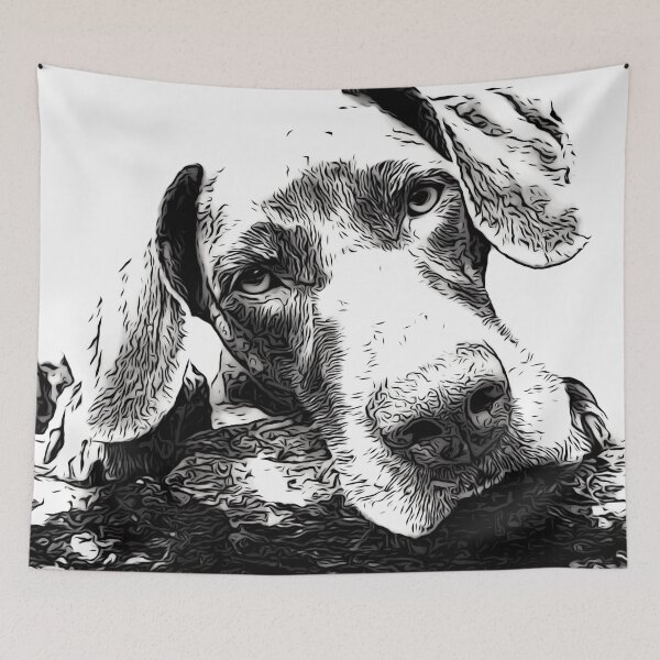 Item preview, Pointer designed and sold by Alan Mackinnon.