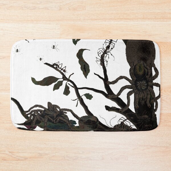 Item preview, Spiders metamorphosis insectorum surinamensium designed and sold by A APART T.