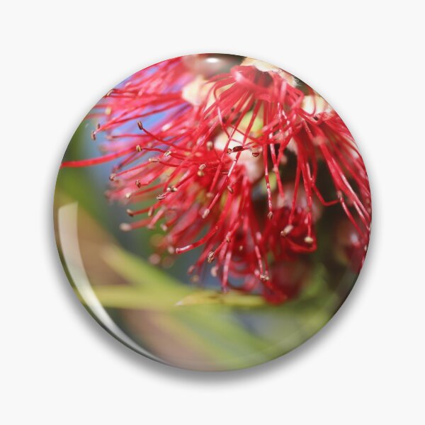 Item preview, Red Australian Bottlebrush Flower designed and sold by Manic-Spider.