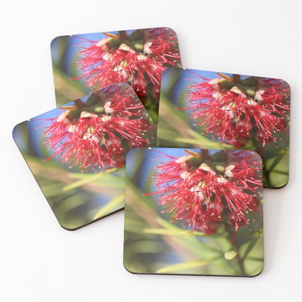 Item preview, Red Australian Bottlebrush Flower designed and sold by Manic-Spider.