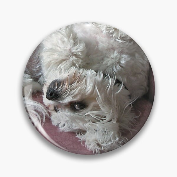 Item preview, You lookin at me? designed and sold by Roz McQuillan Fine Art & Photography.
