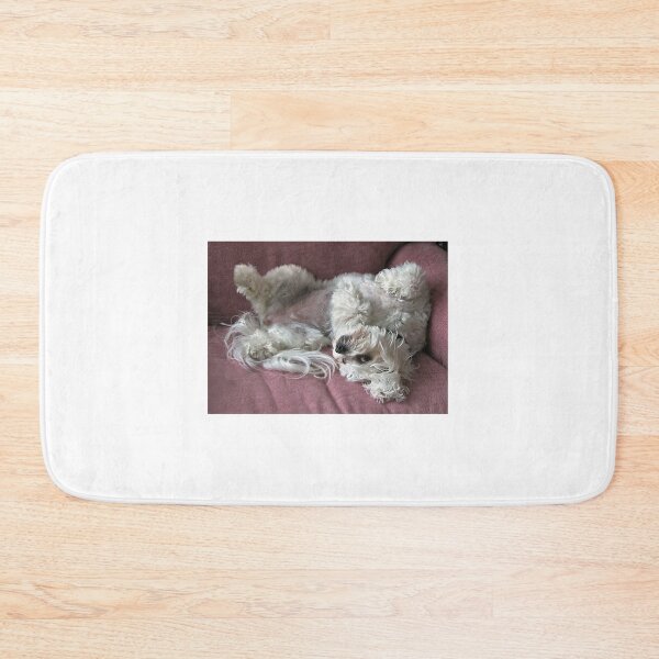 Item preview, You lookin at me? designed and sold by Roz McQuillan Fine Art & Photography.