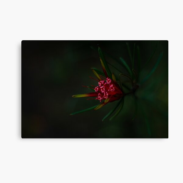 Item preview, Flower  designed and sold by Buttz.