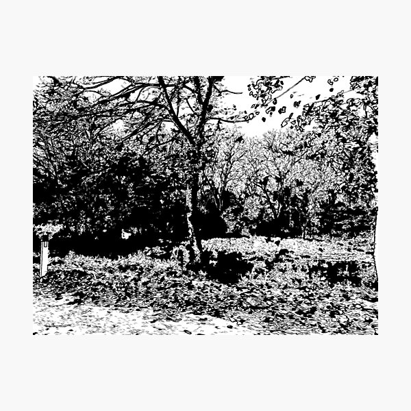Manifestations of Eternity, 1-75 Photographic Print
