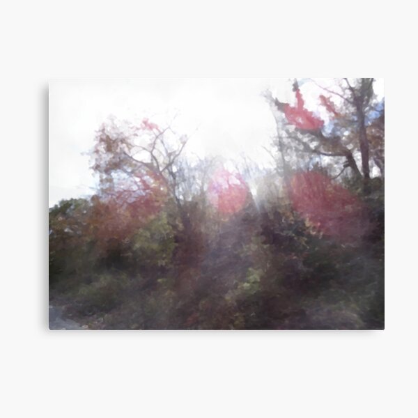 Manifestations of Eternity, 2-20 Canvas Print