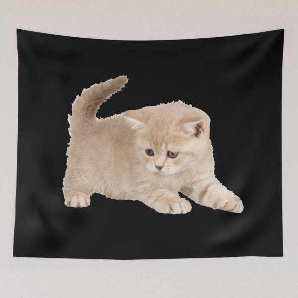Item preview, Cute Kitten designed and sold by TeeZoneZtore.