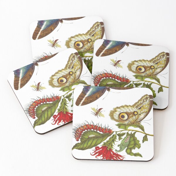Item preview, Metamorphosis insectorum designed and sold by A APART T.