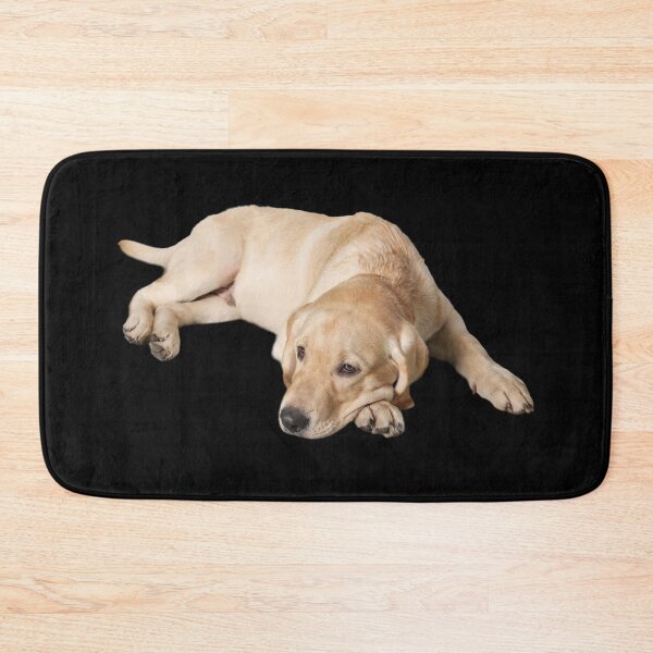 Item preview, Lazy Labrador designed and sold by TeeZoneZtore.