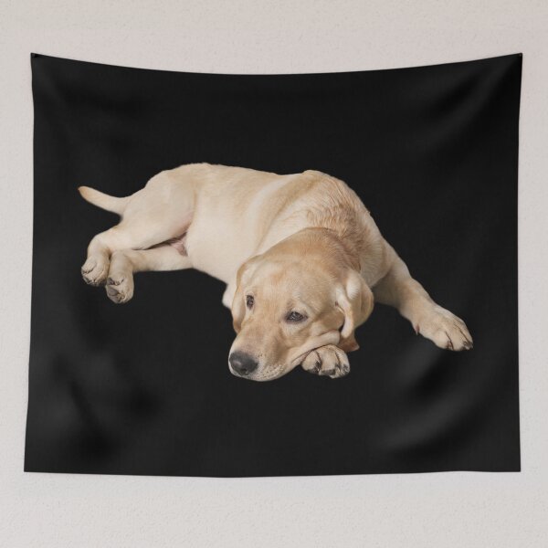 Item preview, Lazy Labrador designed and sold by TeeZoneZtore.